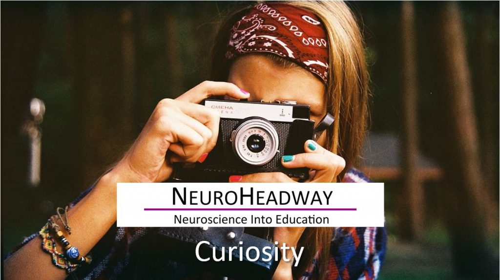 Curiosity