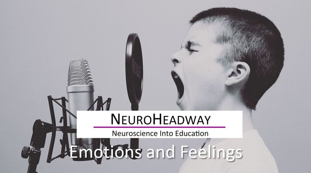 Emotions and feelings