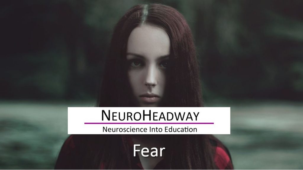 Fear