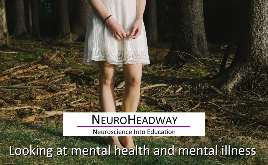Looking at mental health and mental illness